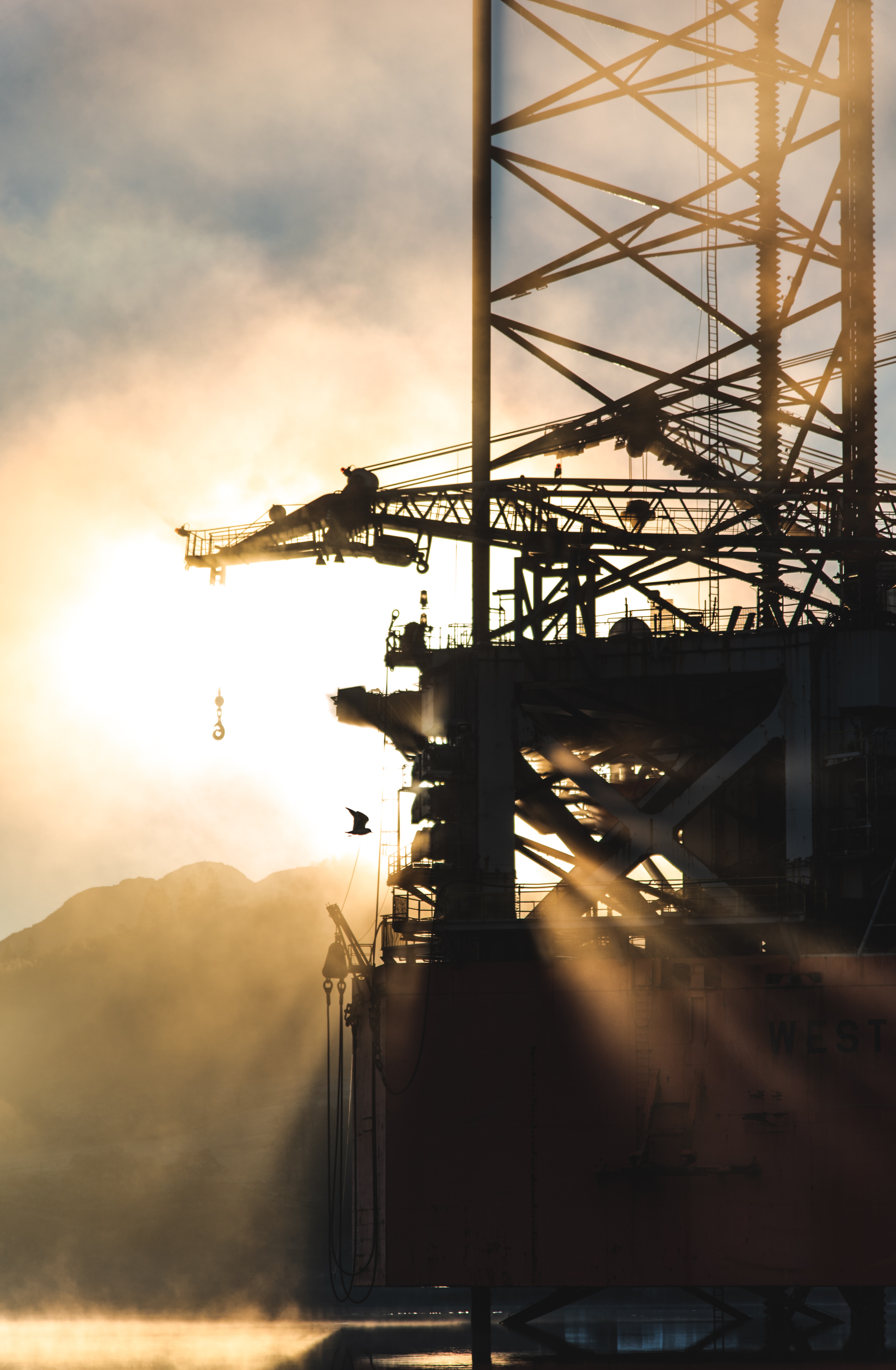 back-light-business-energy-1716008
